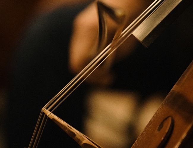 close up images of the bow on the strings of a string instrument